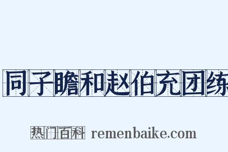 同子瞻和赵伯充团练是什么意思的图片